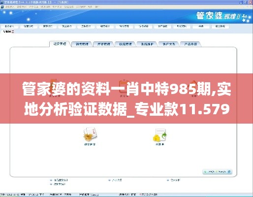 管家婆的资料一肖中特985期,实地分析验证数据_专业款11.579