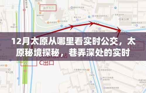 太原秘境探秘，实时公交指南与巷弄深处独特小店之旅