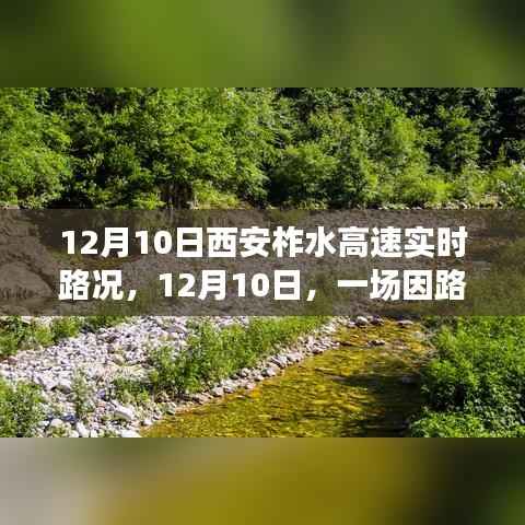 12月10日西安柞水高速路况纪实，温情旅程中的故事