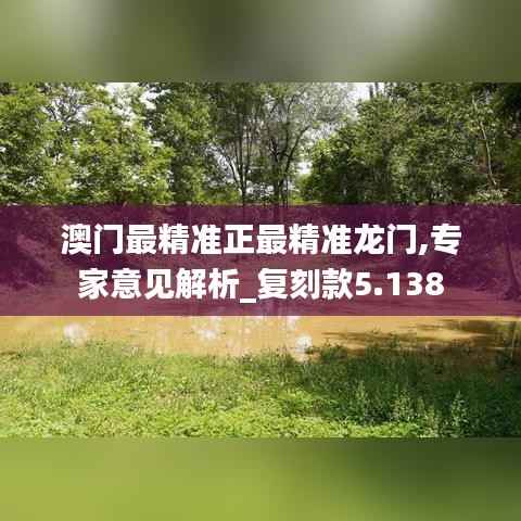 澳门最精准正最精准龙门,专家意见解析_复刻款5.138