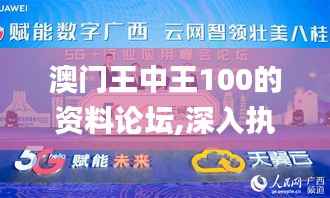 澳门王中王100的资料论坛,深入执行数据应用_网页款4.898