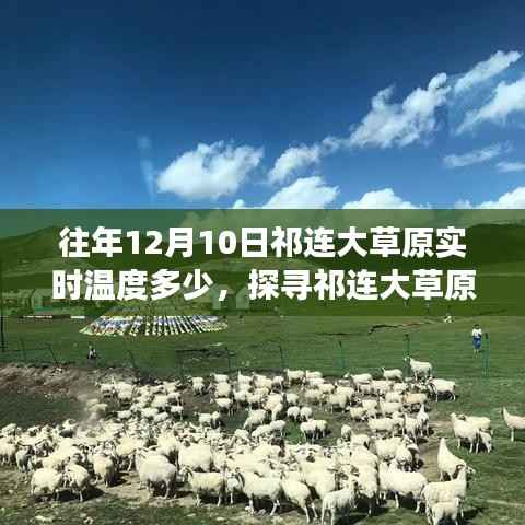 祁连大草原12月10日实时温度揭秘，气候与生态的深度探讨