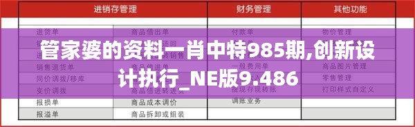 管家婆的资料一肖中特985期,创新设计执行_NE版9.486