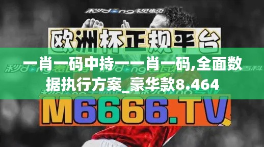 一肖一码中持一一肖一码,全面数据执行方案_豪华款8.464