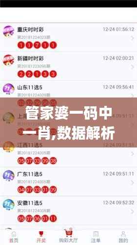 管家婆一码中一肖,数据解析导向设计_进阶版16.202