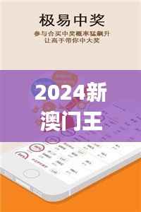 2024新澳门王中王100%期期中,数据导向计划设计_zShop10.928