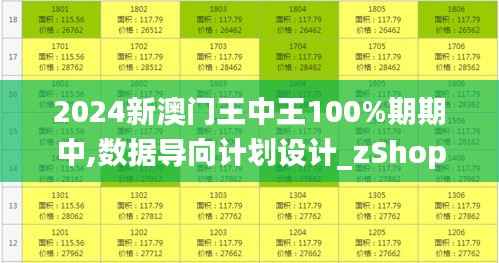 2024新澳门王中王100%期期中,数据导向计划设计_zShop10.928