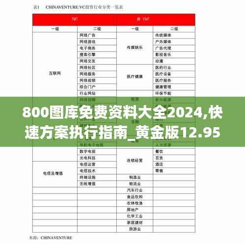 800图库免费资料大全2024,快速方案执行指南_黄金版12.950