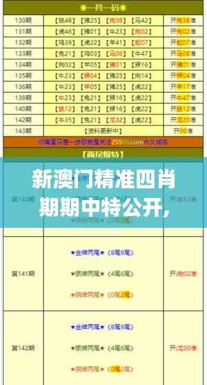 新澳门精准四肖期期中特公开,数据引导执行计划_理财版7.822