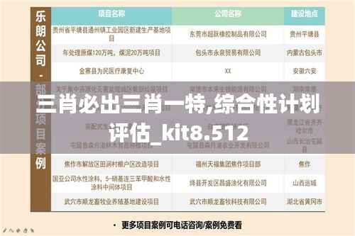 三肖必出三肖一特,综合性计划评估_kit8.512