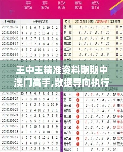 王中王精准资料期期中澳门高手,数据导向执行策略_Nexus8.498