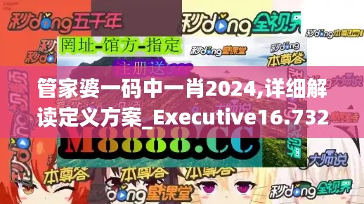 管家婆一码中一肖2024,详细解读定义方案_Executive16.732