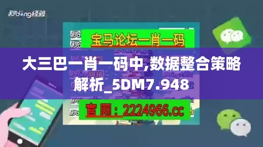 大三巴一肖一码中,数据整合策略解析_5DM7.948