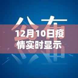 十二月十日疫情实时动态，挑战之下的实时显示增加