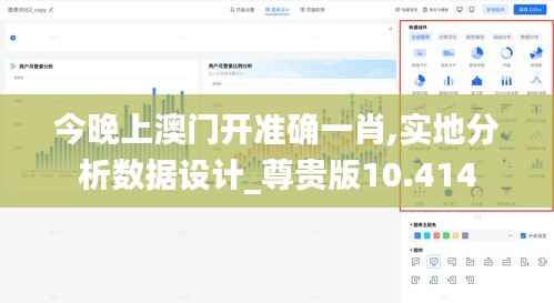 今晚上澳门开准确一肖,实地分析数据设计_尊贵版10.414