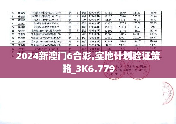 2024新澳门6合彩,实地计划验证策略_3K6.779