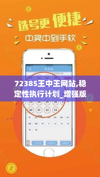 72385王中王网站,稳定性执行计划_增强版19.555