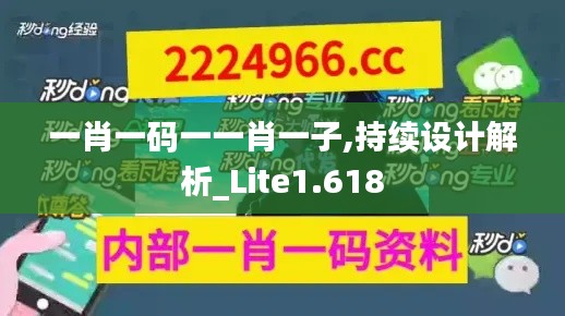 一肖一码一一肖一子,持续设计解析_Lite1.618