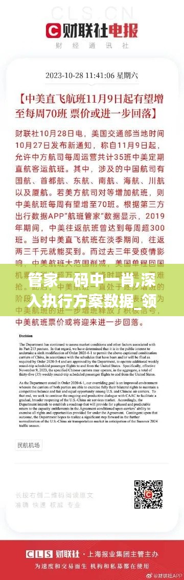 管家一码中一肖,深入执行方案数据_领航款9.636