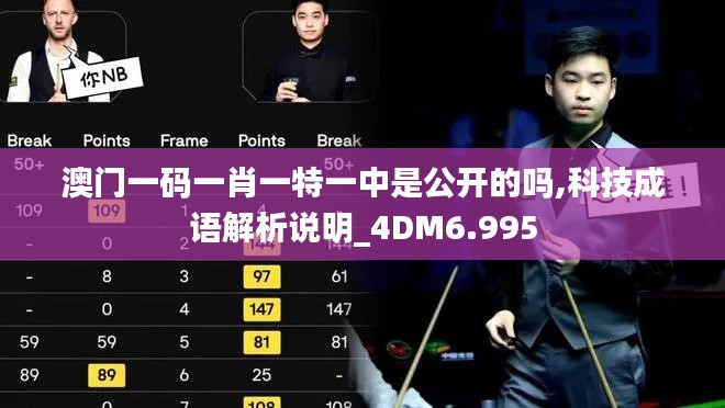 澳门一码一肖一特一中是公开的吗,科技成语解析说明_4DM6.995