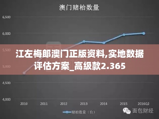 江左梅郎澳门正版资料,实地数据评估方案_高级款2.365