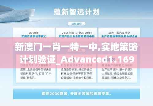新澳门一肖一特一中,实地策略计划验证_Advanced1.169