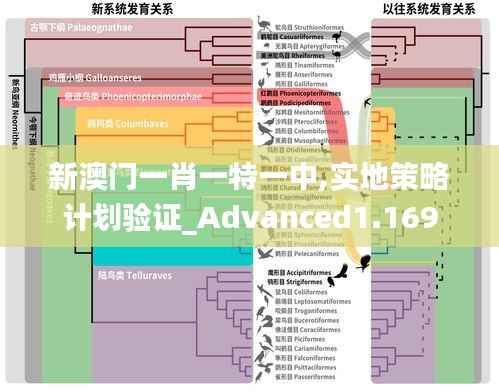 新澳门一肖一特一中,实地策略计划验证_Advanced1.169
