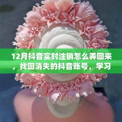 找回消失的抖音账号，重生之旅与挑战数字世界的自信重塑