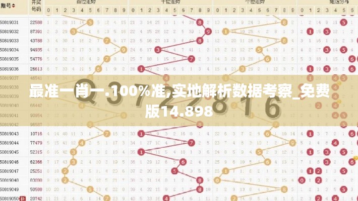 最准一肖一.100%准,实地解析数据考察_免费版14.898