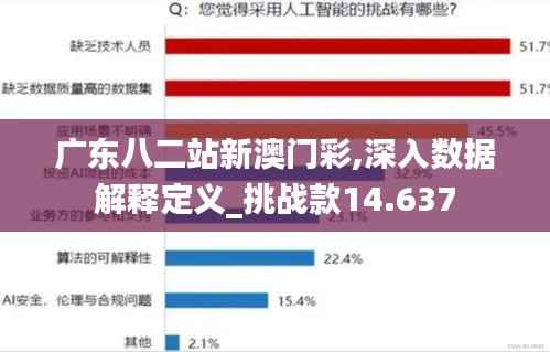 广东八二站新澳门彩,深入数据解释定义_挑战款14.637