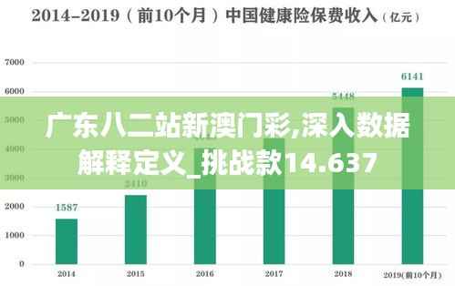 广东八二站新澳门彩,深入数据解释定义_挑战款14.637