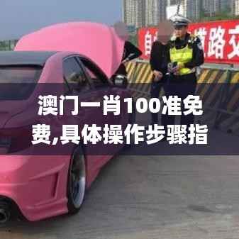 澳门一肖100准免费,具体操作步骤指导_FT9.269