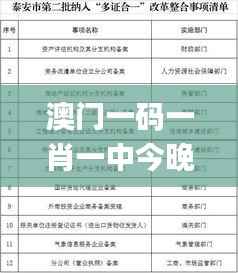 澳门一码一肖一中今晚,调整方案执行细节_静态版3.346