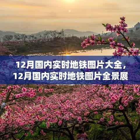 12月国内实时地铁全景,城市脉搏与生活轨迹的交融图片展示