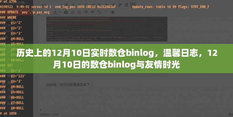 数仓binlog记录下的友情时光，温馨日志回顾与历史回顾的温馨时刻（十二月初十日）