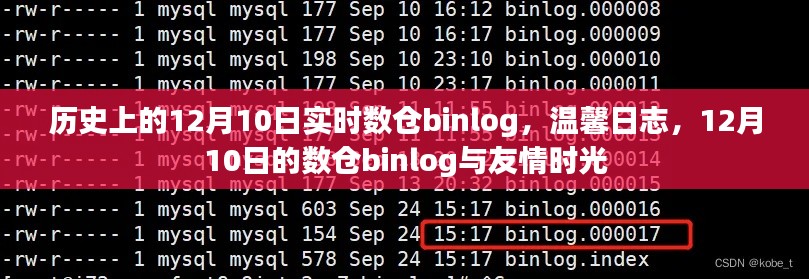 数仓binlog记录下的友情时光,温馨日志回顾与历史回顾的温馨时刻(十二月初十日)