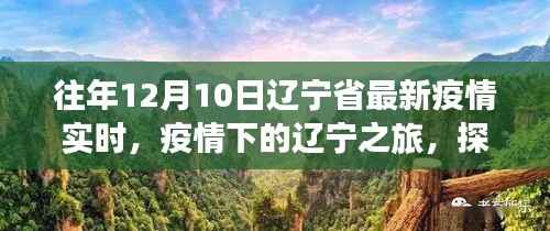 辽宁疫情实时更新与探寻自然美景之旅，疫情下的内心平静之路