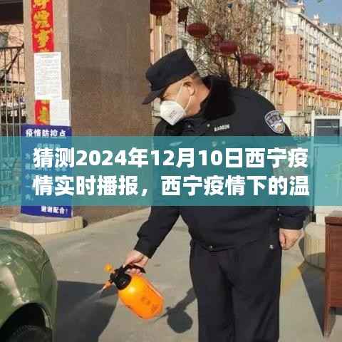 西宁疫情下的温情日常，友情、爱与陪伴的温馨故事（预测至2024年12月10日）实时播报