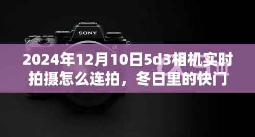 2024年冬日快门旋律，5D3相机连拍指南与友情光影乐章