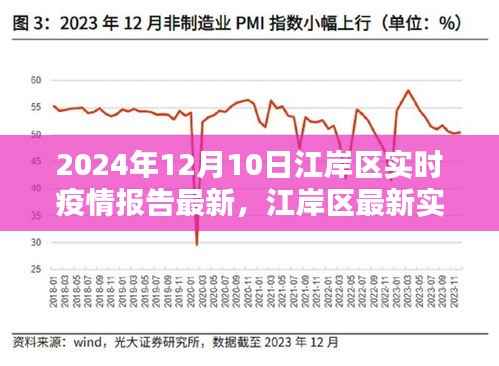 江岸区最新实时疫情报告指南，初学者与进阶用户适用（截至日期，2024年12月10日）