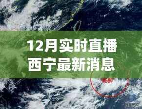 揭秘十二月西宁最新动态,直播风云与小红书带你直击现场