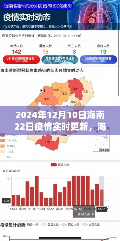 2024年12月10日海南疫情实时更新与回顾,洞察影响及最新动态