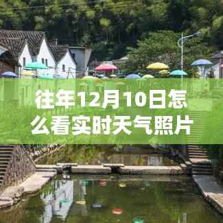 权贵显要 第6页