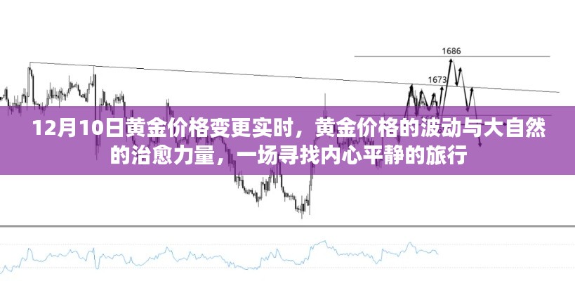 黄金价格波动背后的自然治愈力量,一场寻找内心平静的旅程(实时更新)