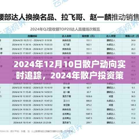 2024年散户动向实时追踪与市场洞察,投资策略与行动指南