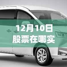 多维度视角下的深度洞察,12月10日股票实时收益观察与实时收益深度分析