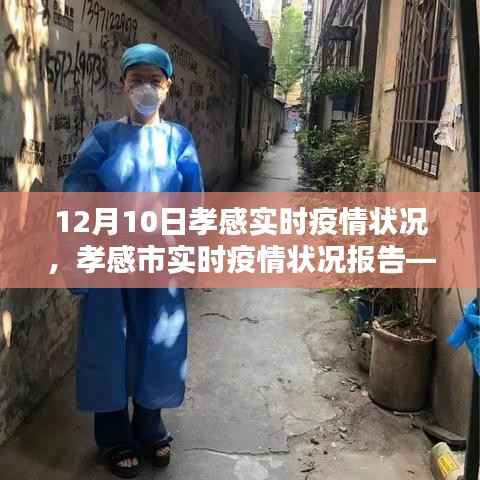 孝感市实时疫情状况报告,聚焦十二月十日动态分析与最新数据