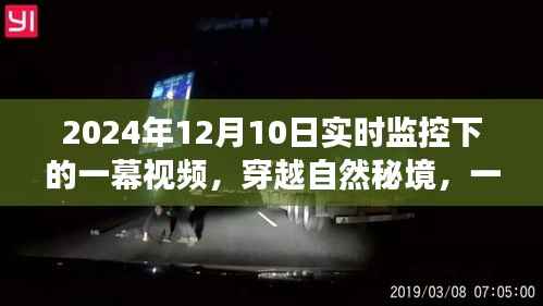 穿越自然秘境,实时监控下的心灵之旅