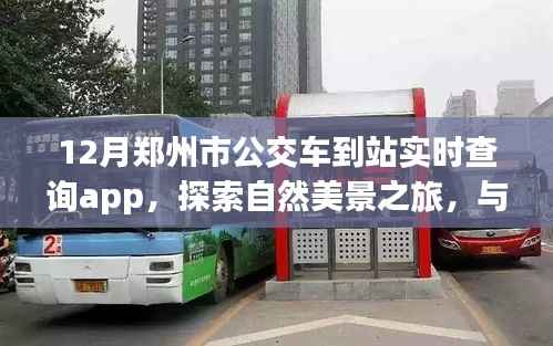 郑州公交实时查询app,冬日探索自然美景的必备工具
