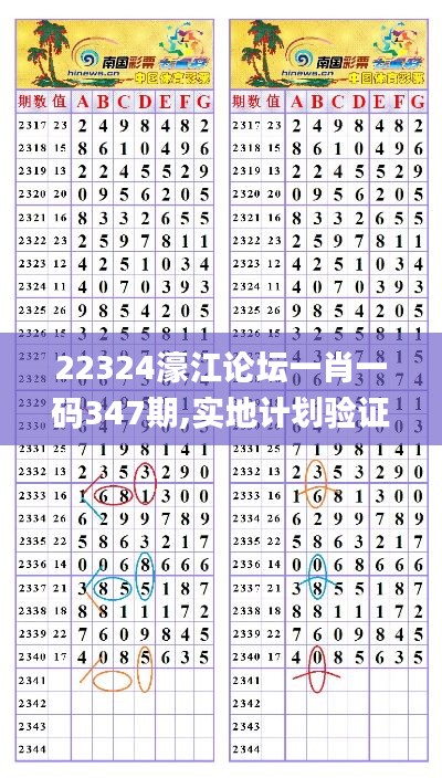 22324濠江论坛一肖一码347期,实地计划验证数据_储蓄版8.468